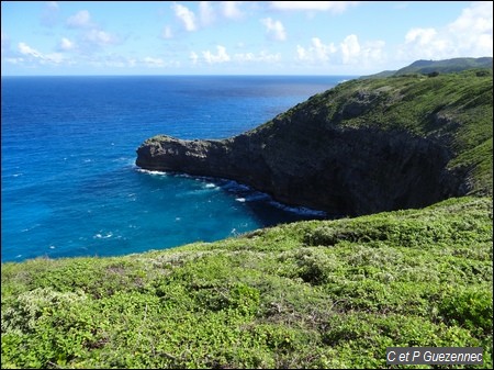 Anse Pineau et Pointe Cavalle